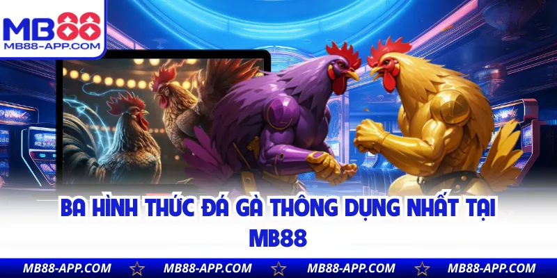 Ba hình thức đá gà thông dụng nhất tại Mb88